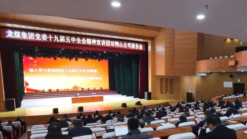 20201201  沈霆作报告02