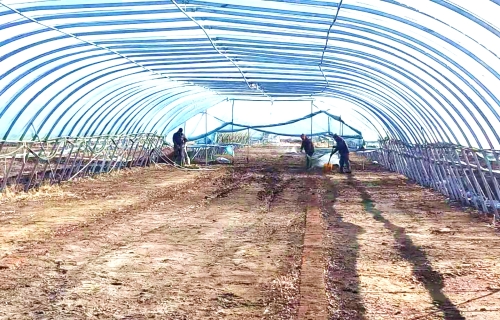 微信图片_20210330110447 微信图片_20210330110447