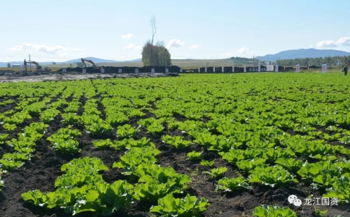 微信图片_20220921075911