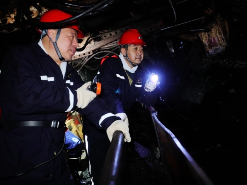 微信图片_20231213194416