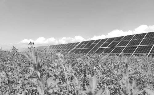 微信图片_20240202181227