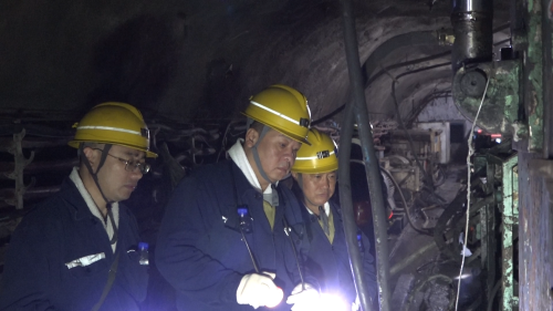 微信图片_20250530125157