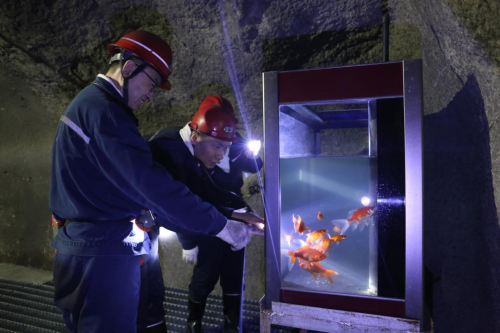 微信图片_20250619230544