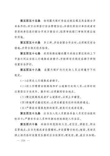 2025规程_228